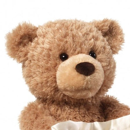 Peekaboo Teddy Bear